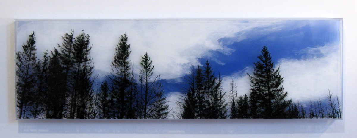 jesshurleyscott treeline oregon