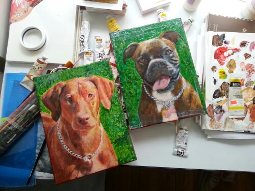 pet portraits wellscituated pet portraits wellscituated