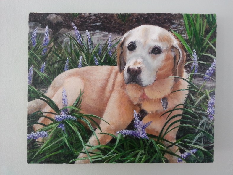 jess hurley scott pet portrait