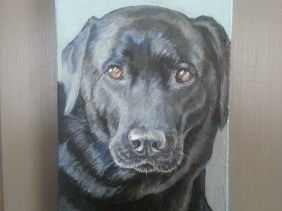 Sweetie, pet portrait by painter Jess Hurley Scott