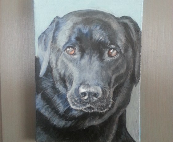 Sweetie, pet portrait by painter Jess Hurley Scott