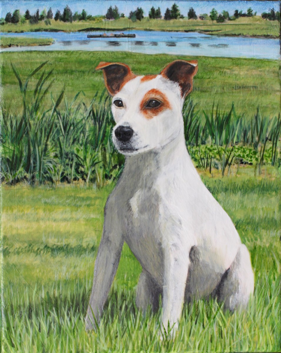 pet portrait of max by Jess Hurley Scott
